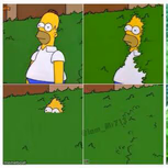 Homer hides