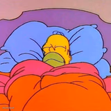Homer Napping