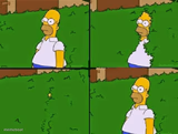 Homer Simpson Going In Coming out