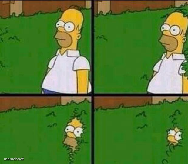 Homer Simpson in Bush - Large - meme generator image preview