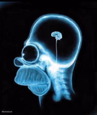 Homer Simpson Small Brain