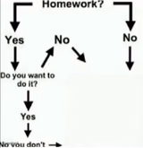 Homework Flowchart