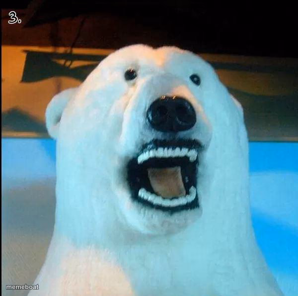 Horrified Polar Bear - meme generator image preview