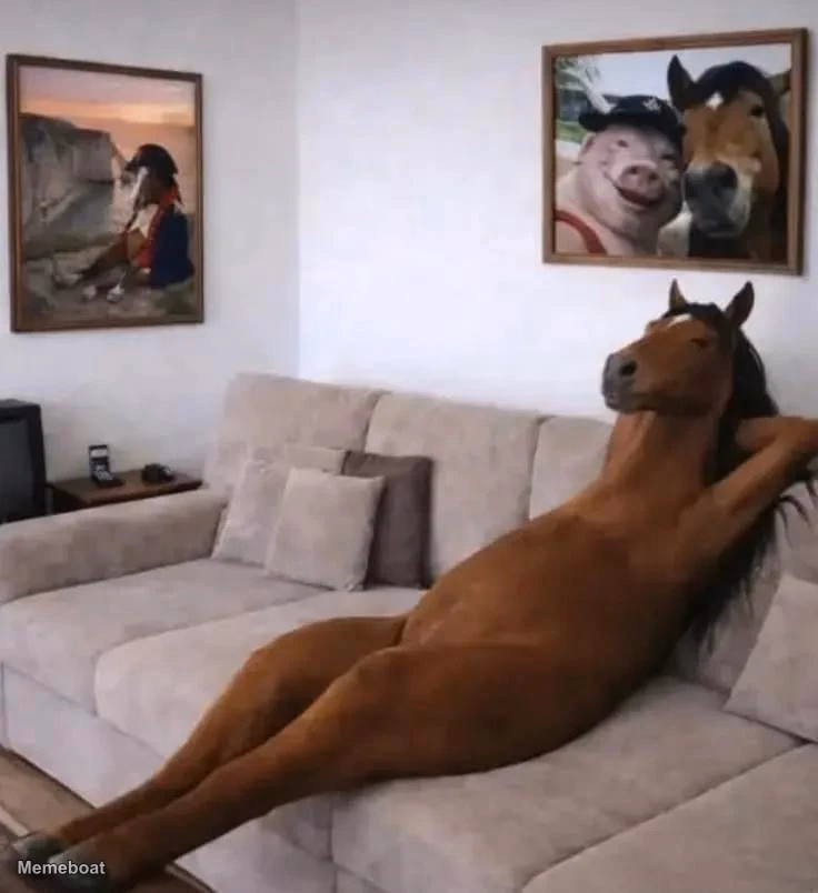 Horse Hanging Out in Bed - meme generator image preview