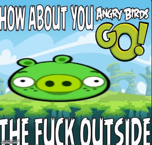 How about you Angry Birds Go outside - meme generator image preview