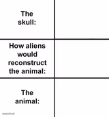 How Aliens Would Reconstruct the Animal