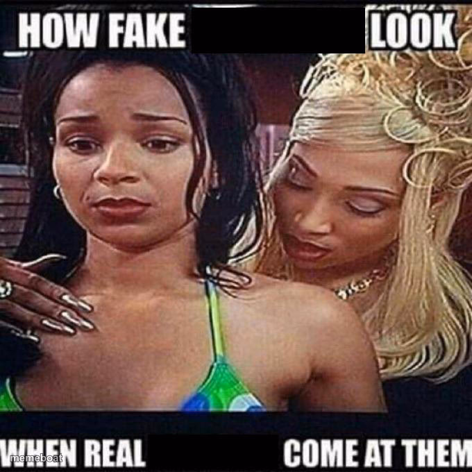 how fake blank look when real blank come at them - meme generator image preview