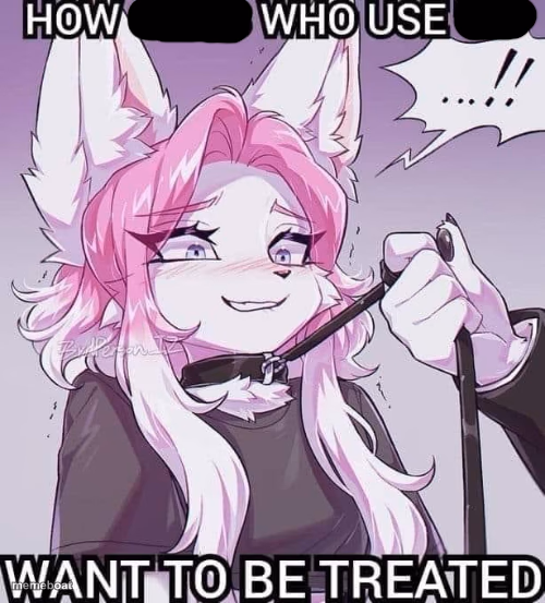 how girls that use :3 want to be treated blank - meme generator image preview