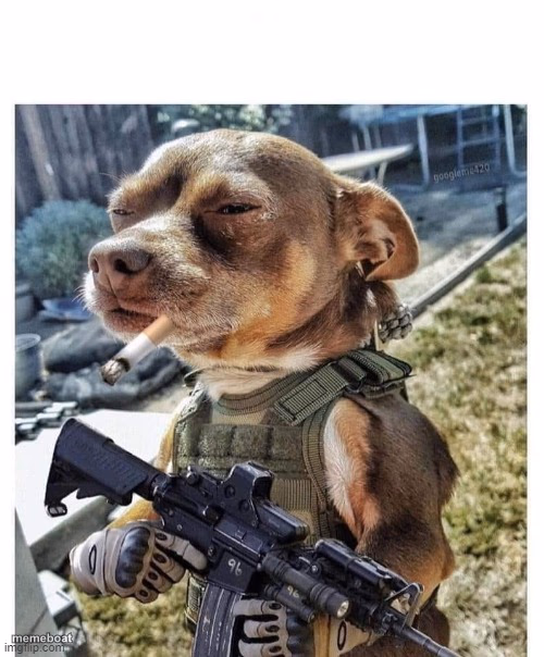 how my dog sees himself when the doorbell rings - meme generator image preview