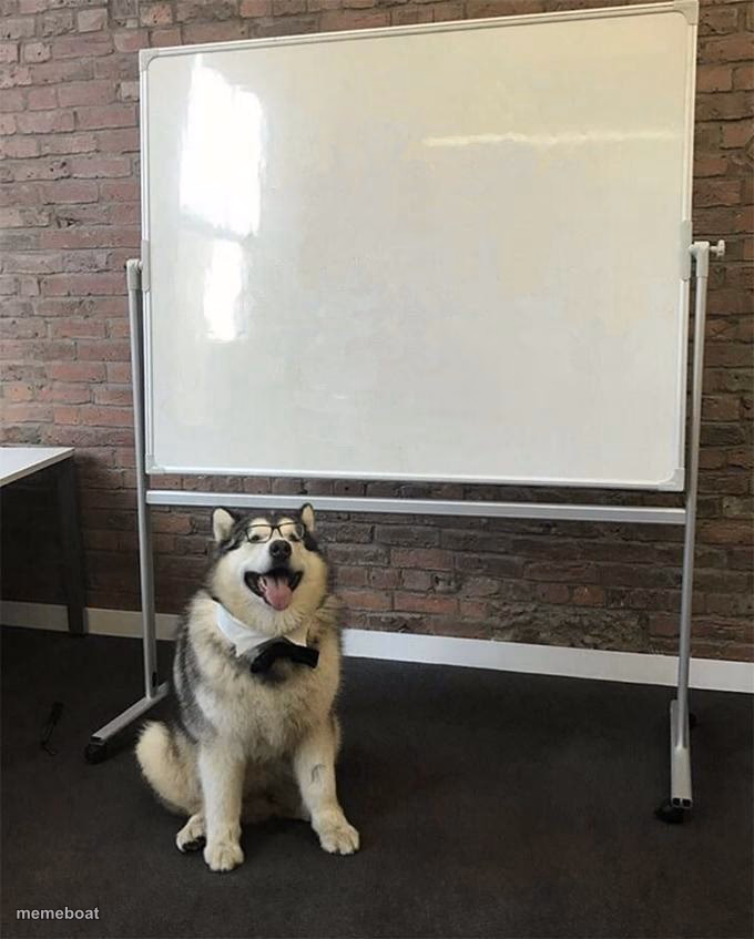 How to be a good boy - meme generator image preview