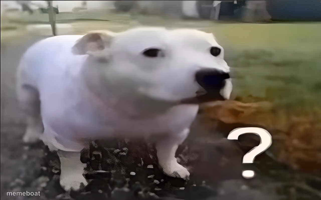 Huh Dog - meme generator image preview