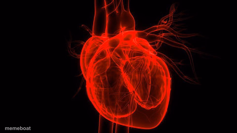 human heart - meme generator image preview