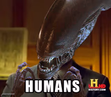 Humans