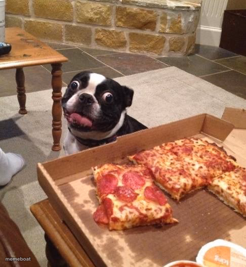 Hungry Pizza Dog - meme generator image preview
