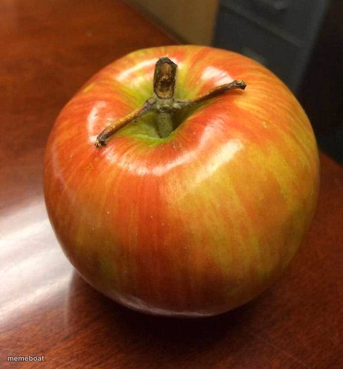 I am Froot - meme generator image preview
