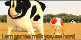 I am gonna milk you so hard