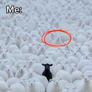 I Am Not Special