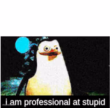I am professional at stupid