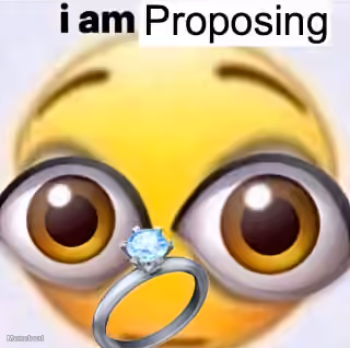 I Am Proposing