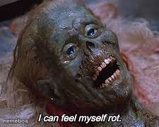 I can feel myself rot - meme generator image preview