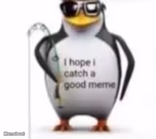 I hope I catch a good meme