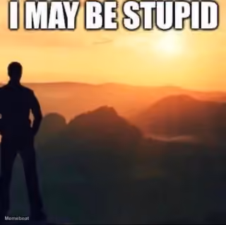 I May Be Stupid