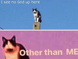I see no god up here other than me
