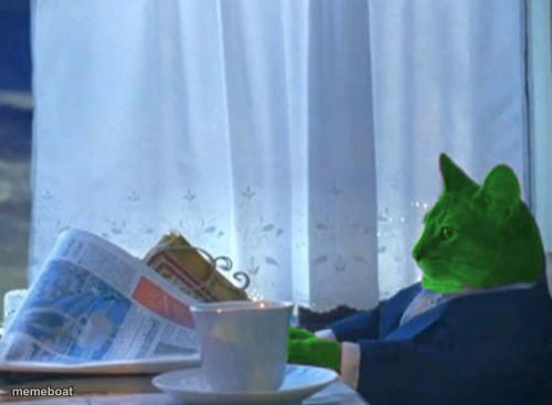 I Should Buy a Boat RayCat - meme generator image preview