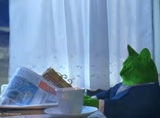 I Should Buy a Boat RayCat