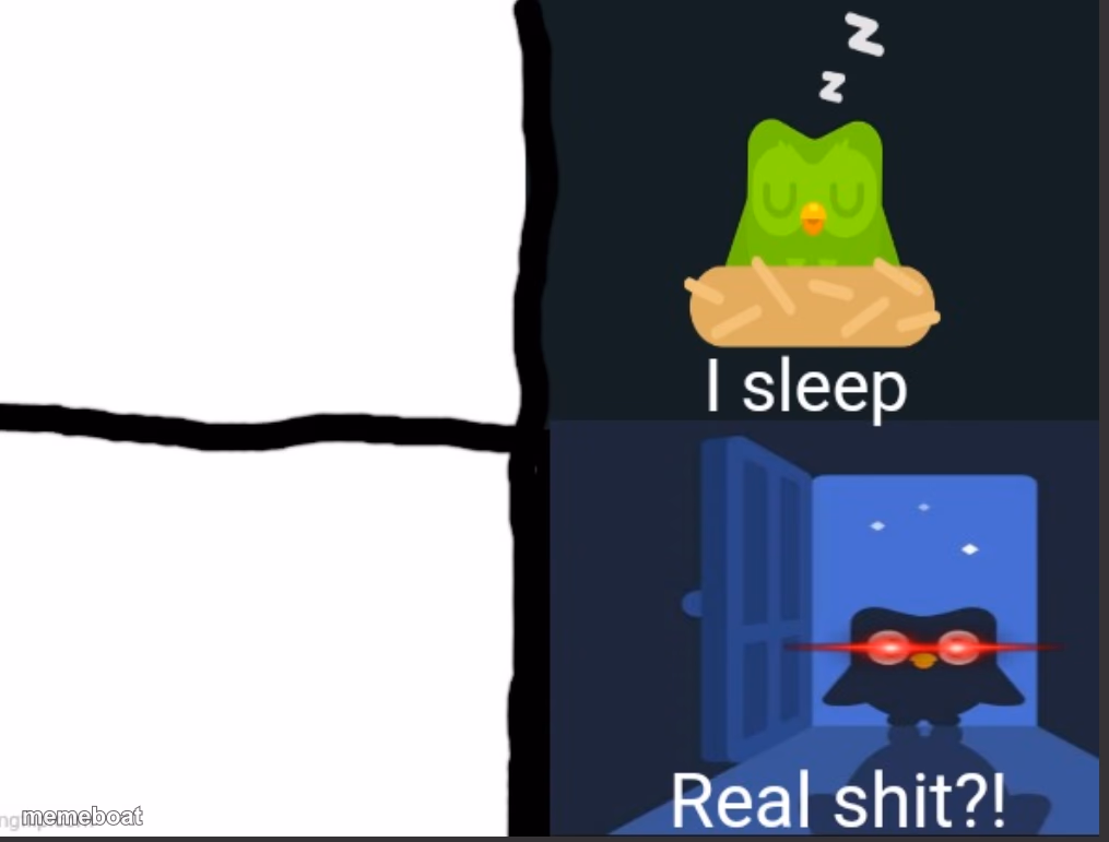 I sleep real shit Duolingo version - meme generator image preview