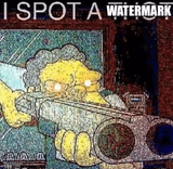 I spot a watermark