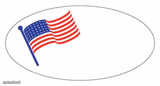 I Voted sticker