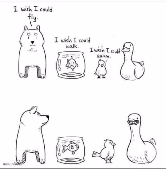 I wish I could fly walk swim duck - meme generator image preview