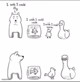 I wish I could fly walk swim duck