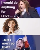 I would do anything for love