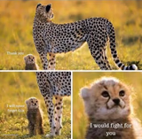 I would fight for you
