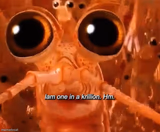 Iam one in a krillion. Hm.