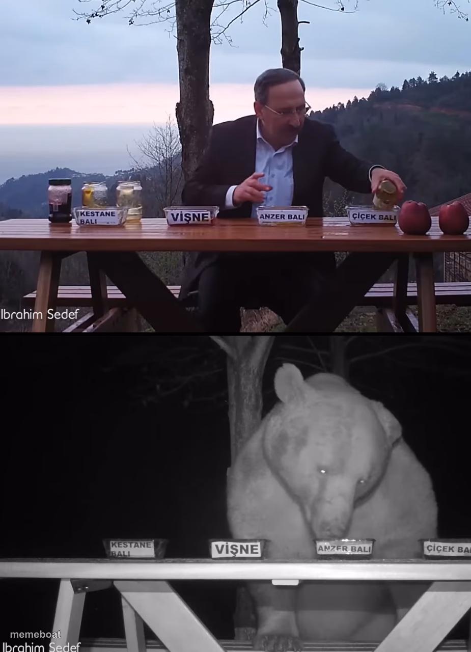 Ibrahim Sedef - meme generator image preview