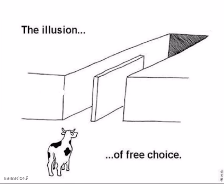 Illusion of free choice - meme generator image preview