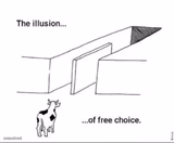 Illusion of free choice