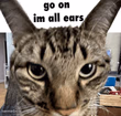 Im all ears