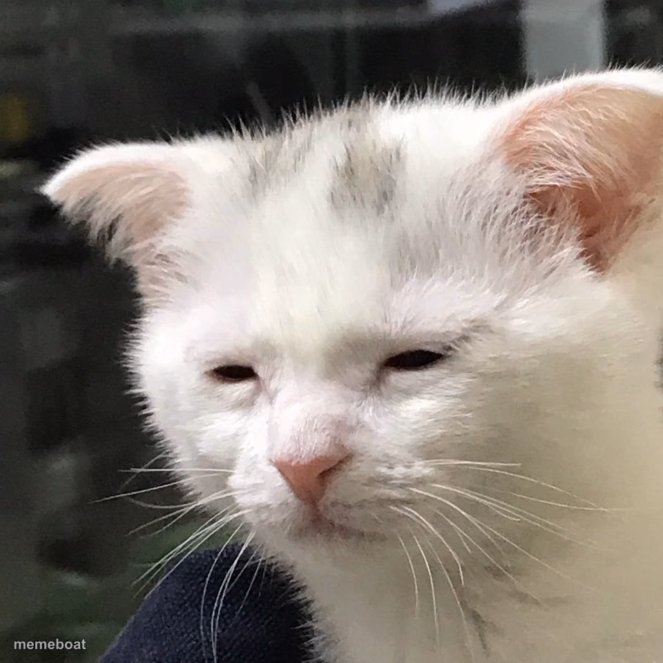 I'm awake, but at what cost? - meme generator image preview