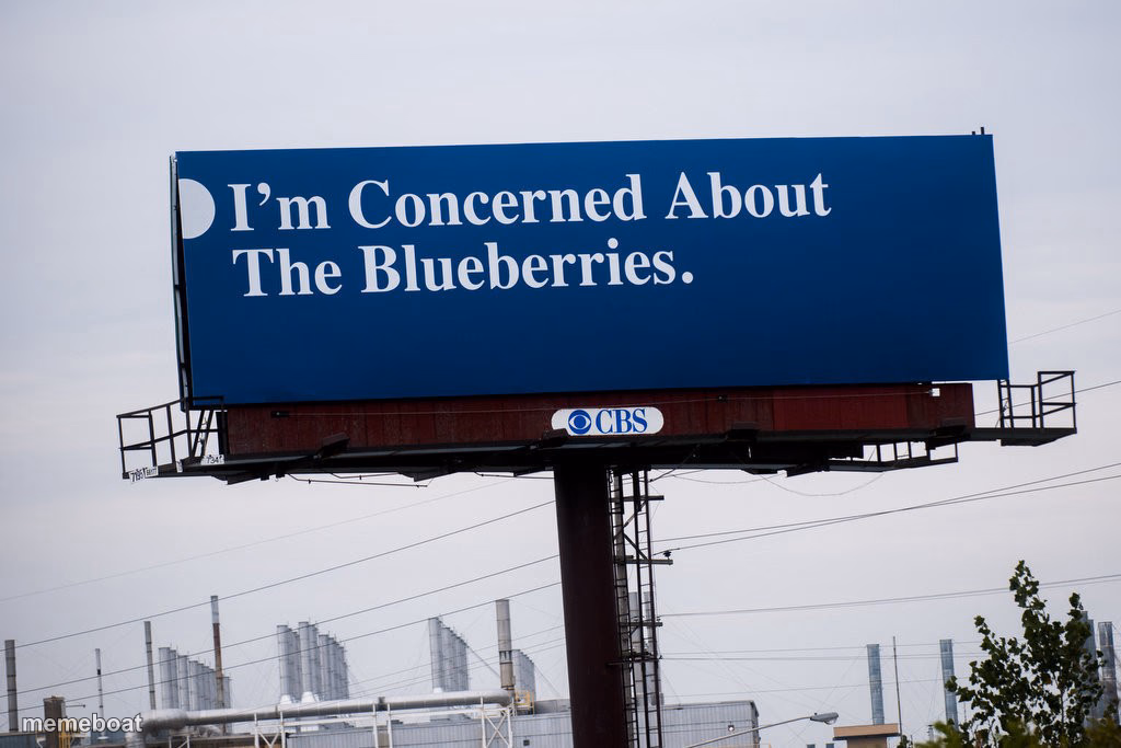 I'm concerned about the blueberries - meme generator image preview