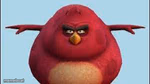 I’m da biggest bird