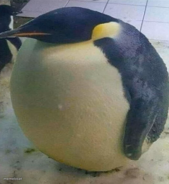I'm Da Biggest Bird - meme generator image preview