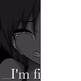 im fi