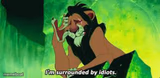 i'm surrounded by idiots