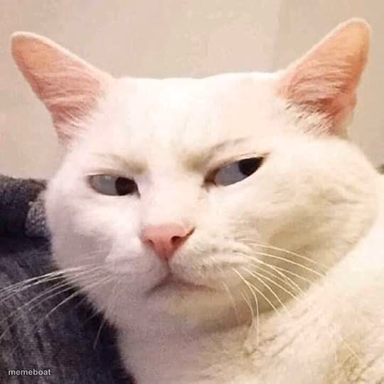 I'm watching you - meme generator image preview