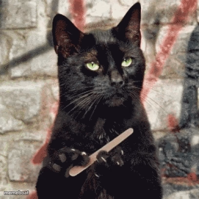 Indifferent cat - meme generator image preview