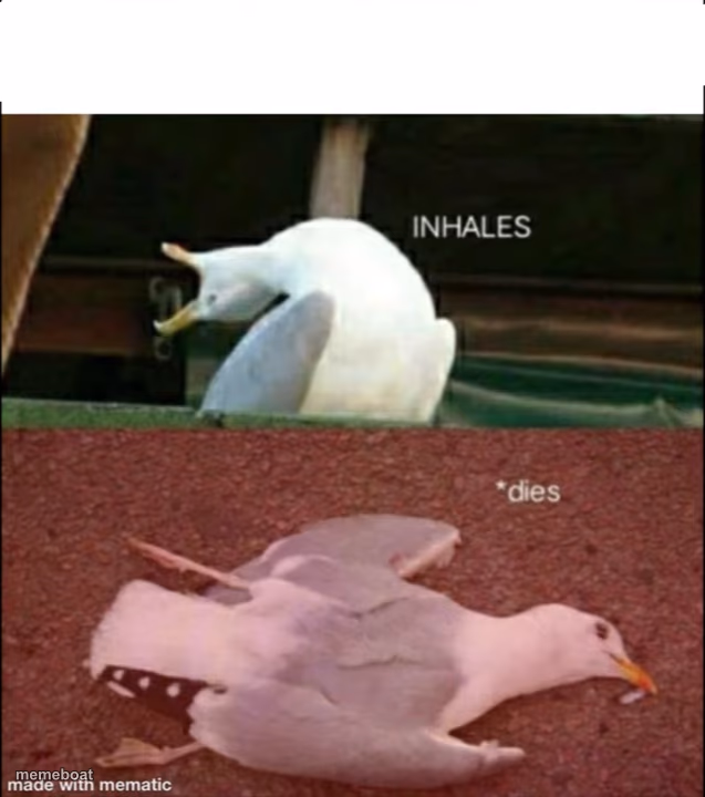Inhales, dies - meme generator image preview